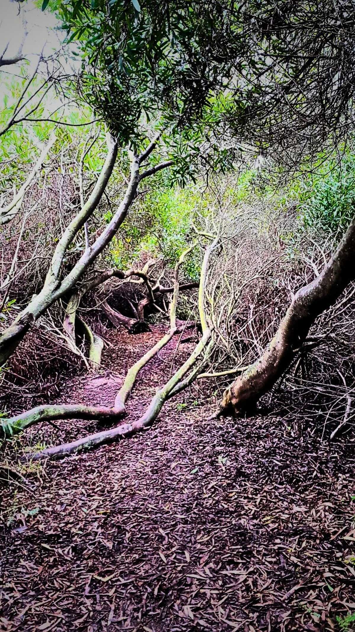 Titelbild_Exnovation