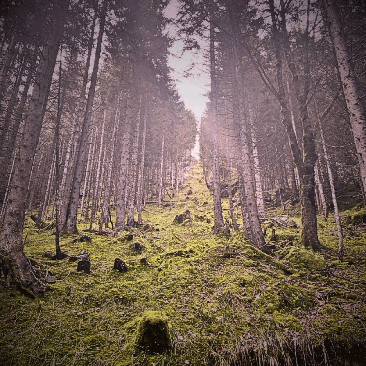 Titelbild_Vision-Ergebnisse